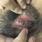 วิจารณ์ได้ครับ