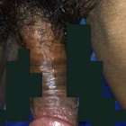 ควยเพื่อน