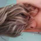 ขึ้นแล้ว