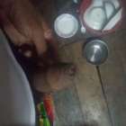 เหงาทัแไลน์ครับ gm.tan2