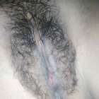 หอยหวาน