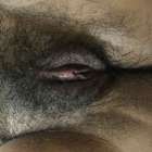 เย็ดหีใหญ่ๆเม็ดแตดแดงๆ