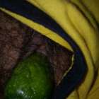 ผัวไม่อยู่ หาคนช่วยก็ไม่มี