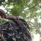 น้าสาวของแฟน เป็นแม่ม่าย ได้เย็ดหลายทีล่ะ เย็ดเก่งโครตๆติดใจเลย