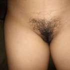 รังผึ้งน้อย