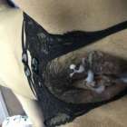 แตกราดหี