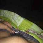 อากาศดี