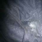 ก.ก.น.เมีย