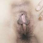 เธอเงี่ยน เย็ดใครก็ได้