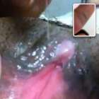 คิดถึงเมียเก่า