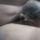 คนอวดหี