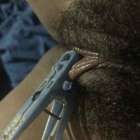 ผัวสั่งให้ทำไปให้ดู