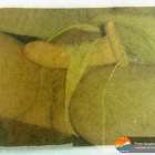 สองรอบแล้วไม่ขึ้น