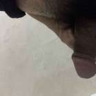 อยากคับ