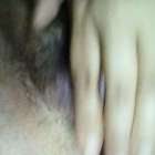 เห็นหมีไหมครับ