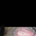 หีบานมาก