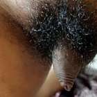 โชว์บ้าง