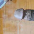 จู๋เด็กมหาลัย ยังบ่เคยเปิดซิงเด้อ ใครว่างมาช่วยสอนหน่อย