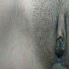 หีเน้นๆ