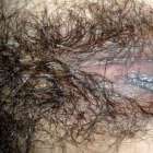 ทดสอบครับ