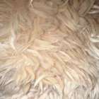 เงี่ยนค่ะ อยากโชว์