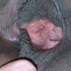 รูหี รูหี