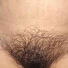 แบบนี้เรียกว่าดกพอไหม