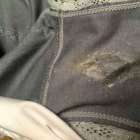 กางเกงในเมีย