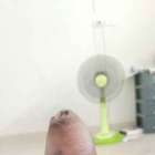 อายุแค่ไม่ถึง20